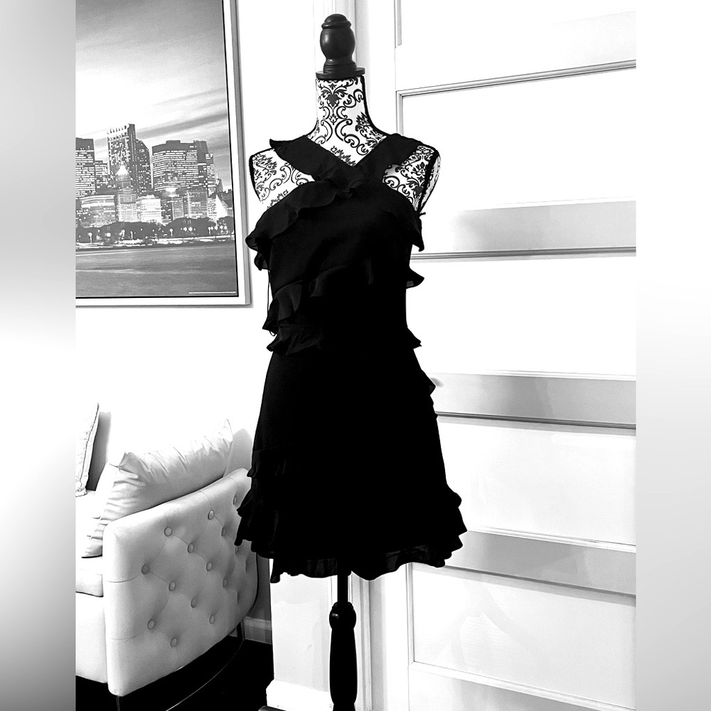Beautiful Elegant CUSHNIE ET OCHS Dress✨
Black Dress 
Size 8